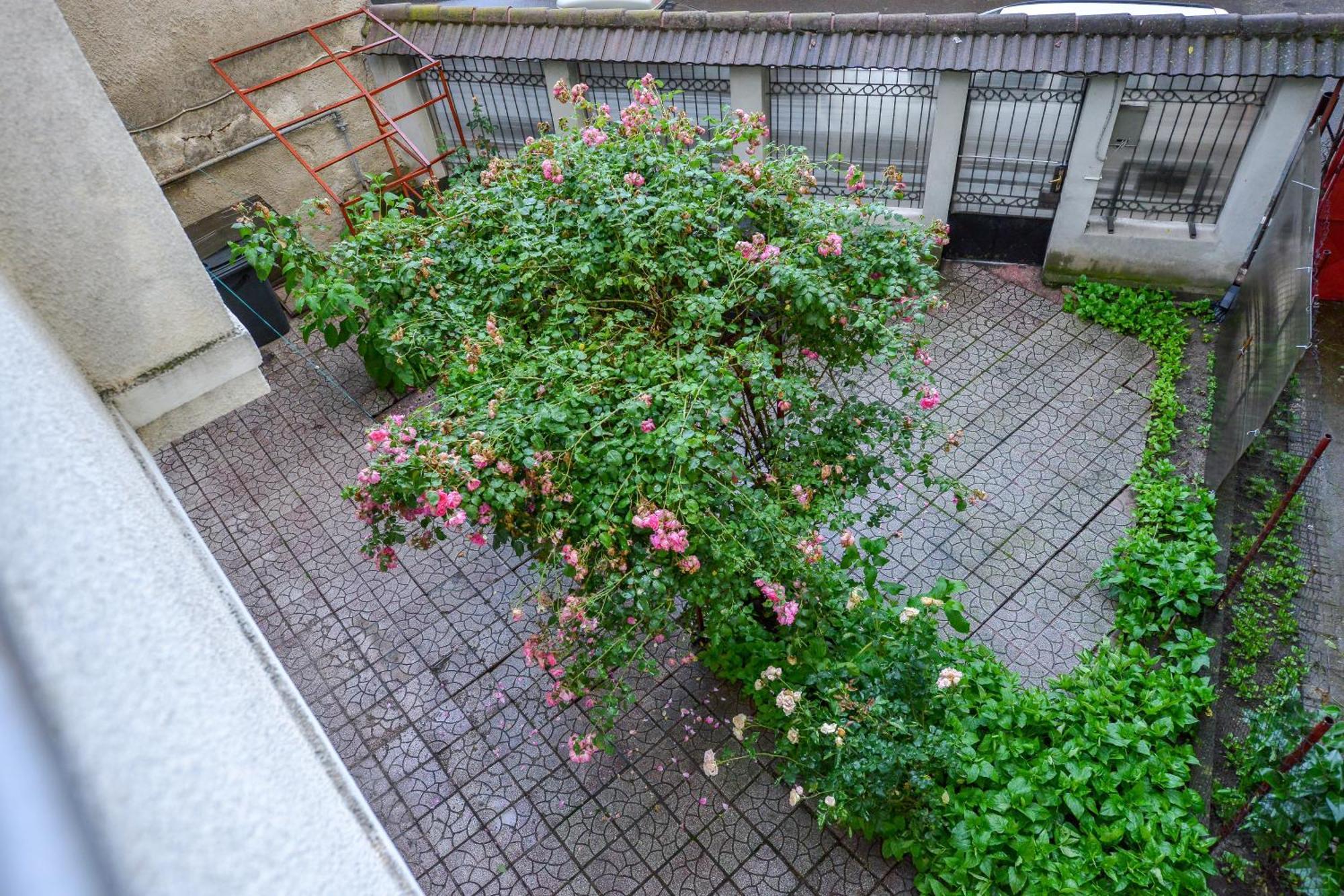 Royal Accommodation ブカレスト 部屋 写真